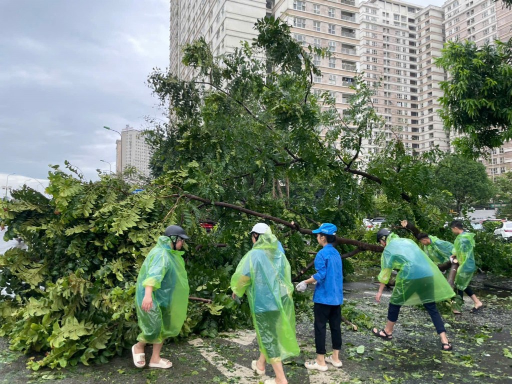 Thanh niên xung kích dọn sạch cây đổ, gãy để đảm bảo giao thông cho Nhân dân đi lại trên địa bàn