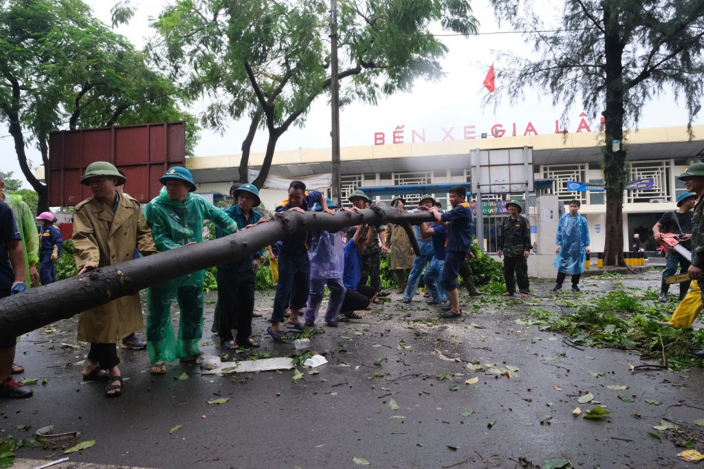 Nhiều cây đổ, gãy trước bến xe Gia Lâm đã được đoàn viên, thanh niên quận Long Biên phối hợp với các đơn vị chức năng dọn sạch