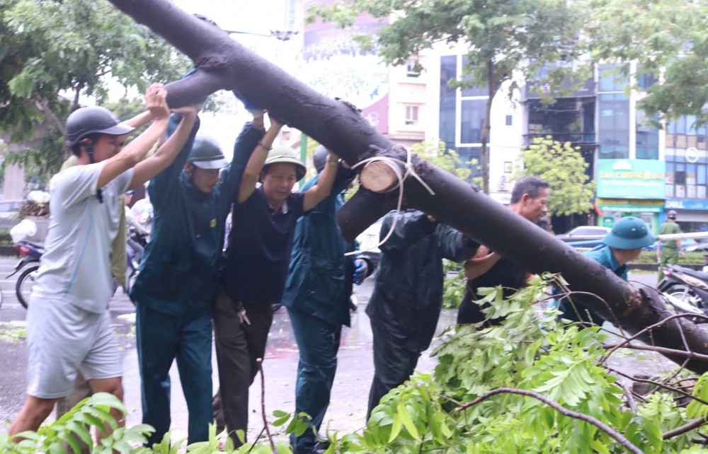 Hà Nội: Cây xanh bật gốc, gãy đổ hàng loạt sau bão Yagi