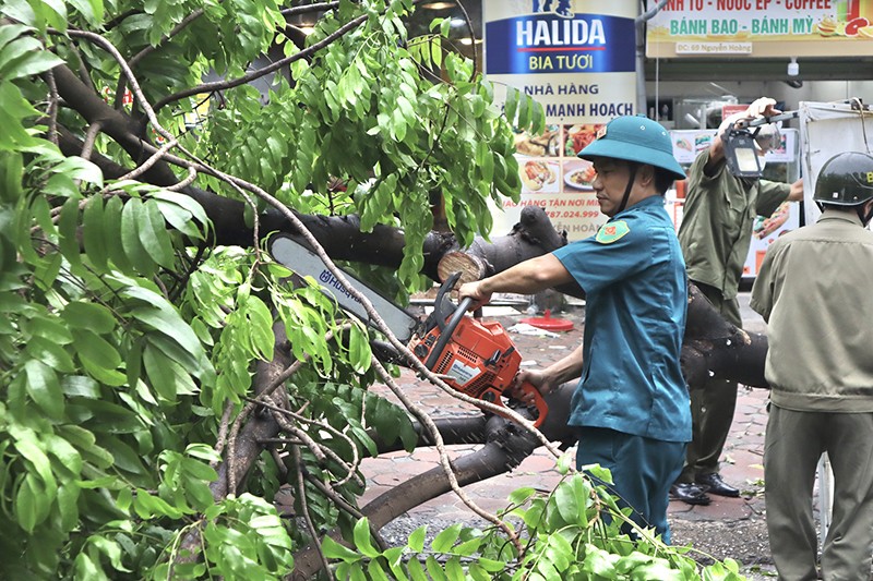 Nhanh chóng giải tỏa cây đổ, đảm bảo giao thông các tuyến đường