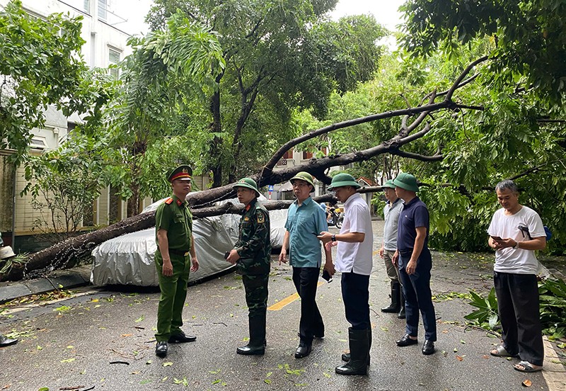 Các đồng chí lãnh đạo UBND quận Nam Từ Liêm xuống hiện trường chỉ đạo công tác khắc phục thiệt hại do bão số 3 gây ra