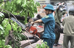 Nhanh chóng giải tỏa cây đổ, đảm bảo giao thông các tuyến đường