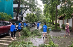 Cả hệ thống chính trị vào cuộc, người dân được đảm bảo an toàn