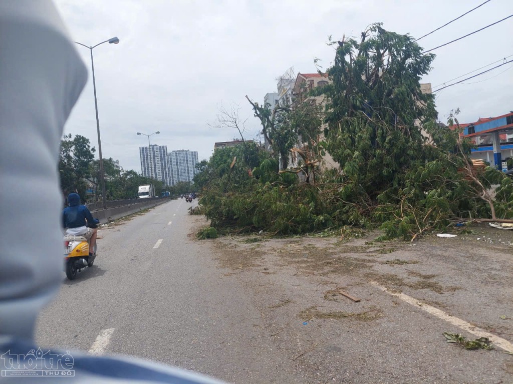 Tuyến đường Nguyễn Văn Linh có hàng trăm cây xanh bị gãy, đổ