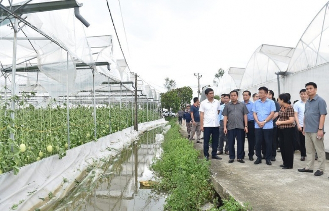 Hải Dương nhanh chóng khắc phục hậu quả bão số 3 để học sinh sớm trở lại trường