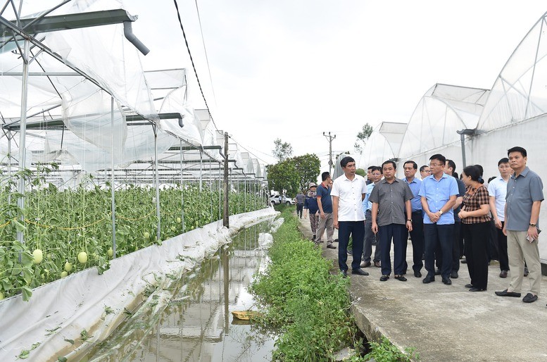 Phó Thủ tướng Lê Thành Long thị sát, thăm hỏi đời sống, tình hình sản xuất của các hộ dân trồng dưa nhà lưới, nhà kính tại xã Phạm Trấn - Ảnh: VGP/Đức Tuân