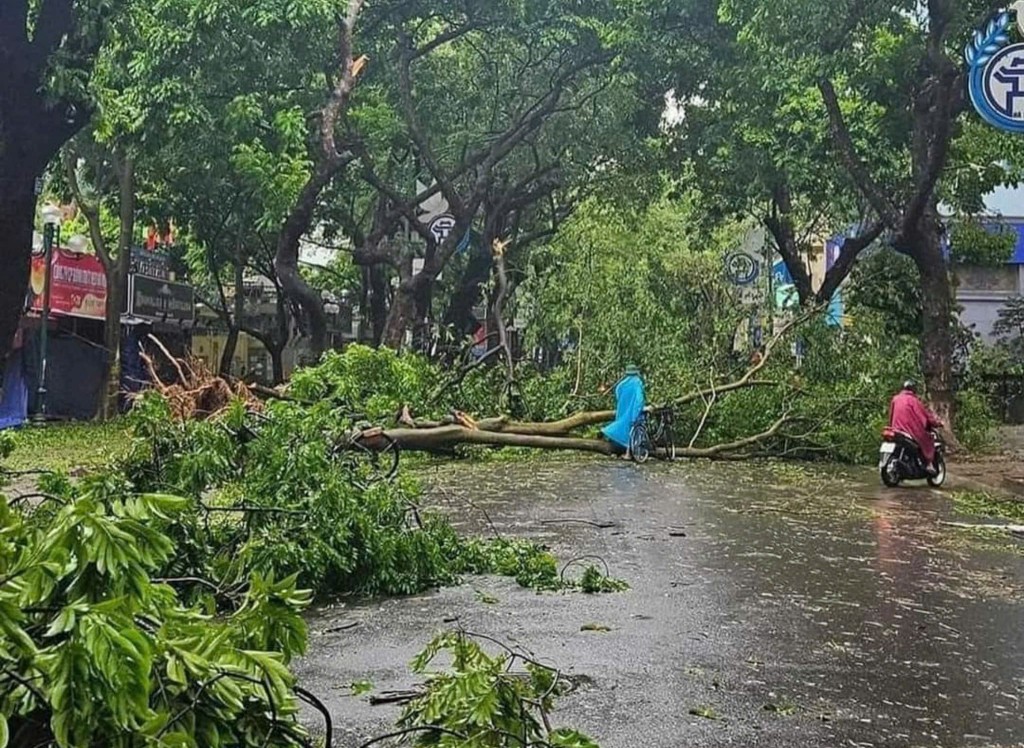 TP Hồ Chí Minh cử người hỗ trợ khắc phục thiệt hại do bão số 3 gây ra