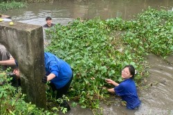 Chương Mỹ: Cả hệ thống chính trị vào cuộc, chủ động ứng phó lụt