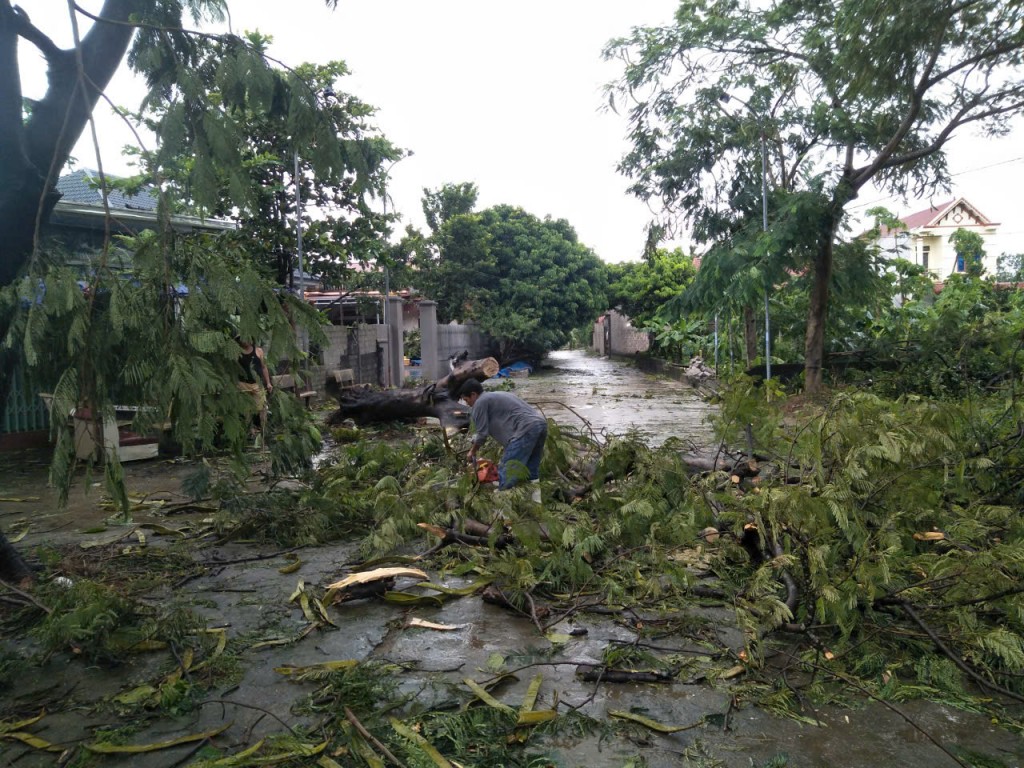 Chương Mỹ: Cả hệ thống chính trị vào cuộc, chủ động ứng phó lụt
