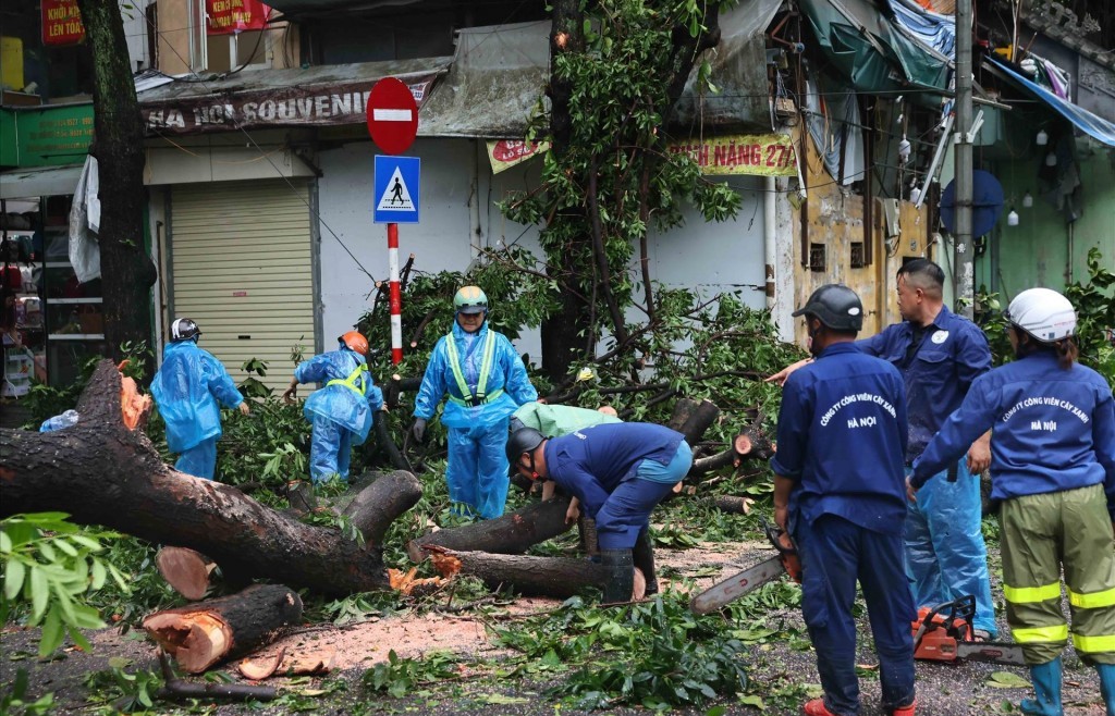 Huy động 100% lực lượng, phương tiện giải tỏa cây gẫy đổ sau bão