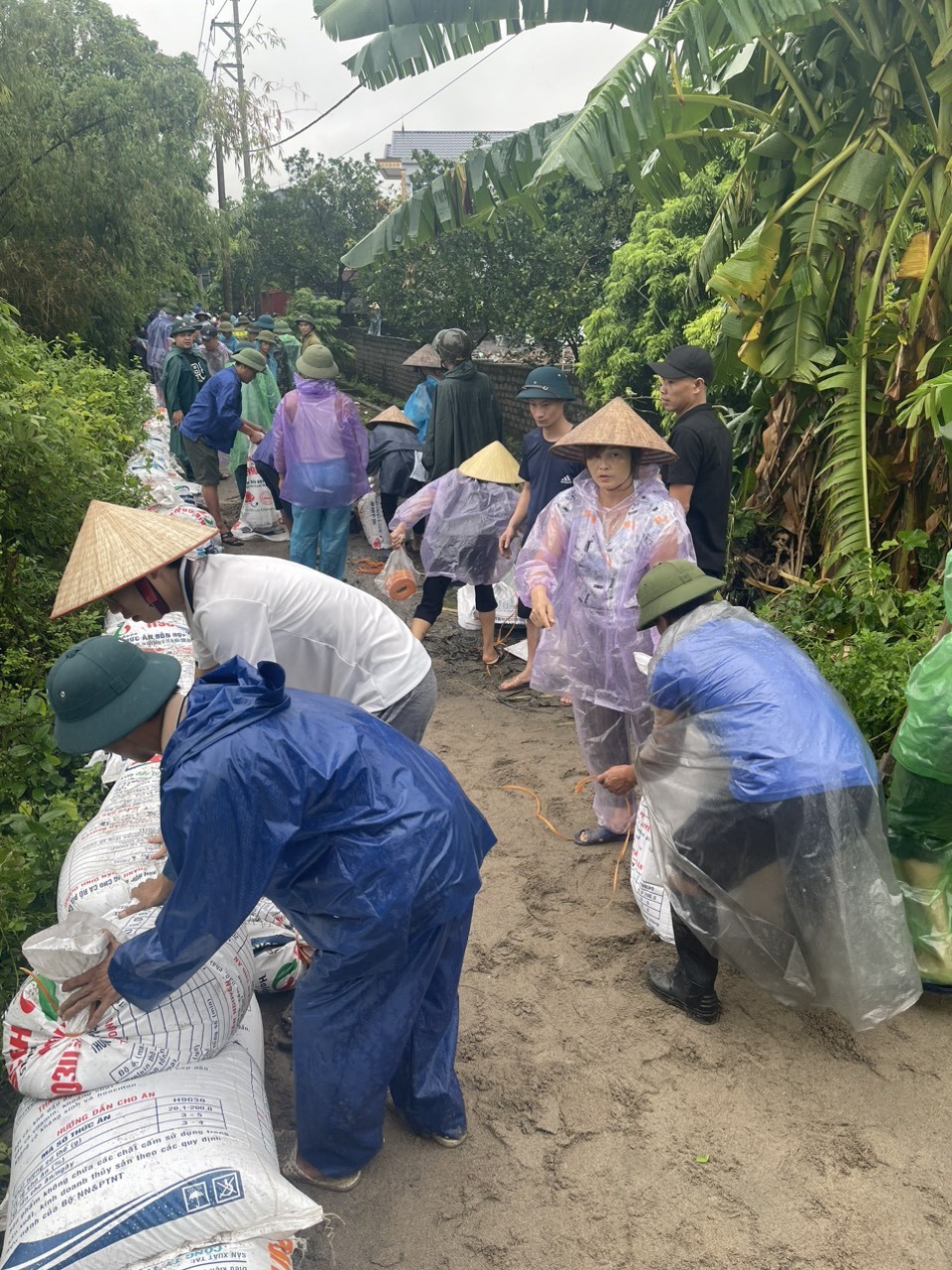 Thanh niên Thủ đô hỗ trợ người dân phòng, chống lũ lụt