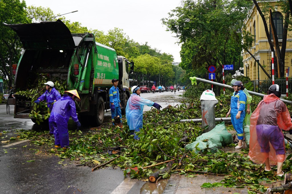 Thanh niên Thủ đô hỗ trợ xử lý cây xanh đổ, hãy trên tuyến phố đi bộ Hoàn Kiếm