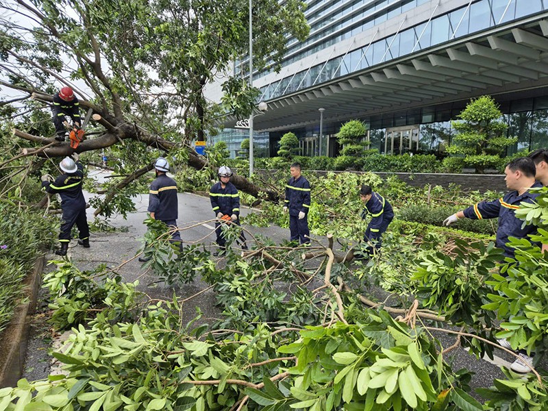 Nỗ lực ổn định cuộc sống Nhân dân sau bão, lũ