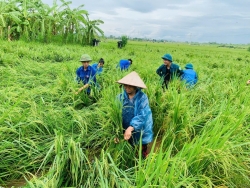 Huy động lực lượng thanh niên phòng, chống thiệt hại do mưa bão