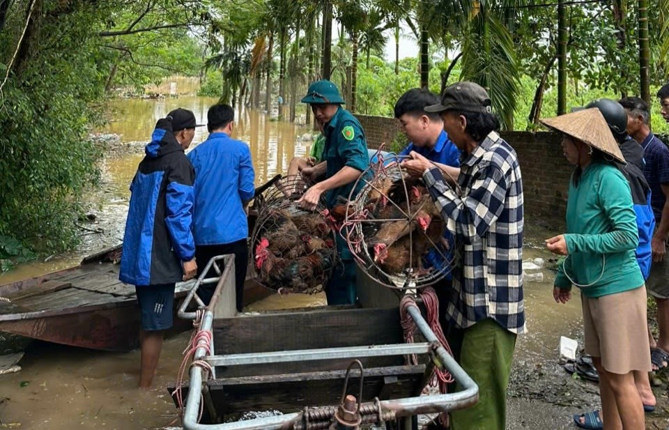 Khôi phục sản xuất, ổn định cuộc sống cho hội viên nông dân