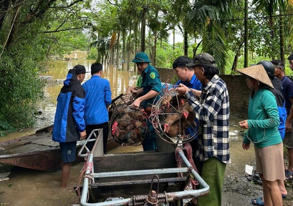 Khôi phục sản xuất, ổn định cuộc sống cho hội viên nông dân