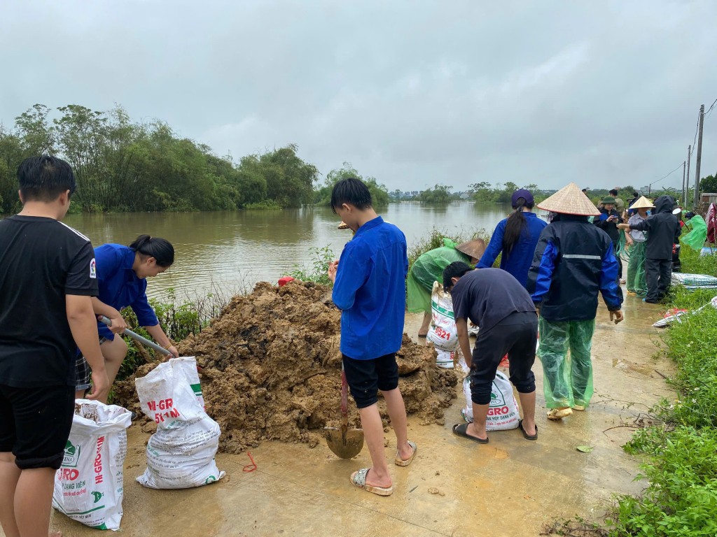Tại huyện Thạch Thất, lực lượng đoàn viên, thanh niên tham gia khắc phục hậu quả sau bão (đến nay đã có 18/23 xã, thị trấn cơ bản khắc phục xong). Tại một số xã ven sông Tích mực nước lên cao, đoàn viên thanh niên đang tích cực cùng lực lượng chức năng và người dân triển khai kè bờ đê, khắc phục tình hình Tại huyện Thạch Thất, lực lượng đoàn viên, thanh niên tham gia khắc phục hậu quả sau bão (đến nay đã có 18/23 xã, thị trấn cơ bản khắc phục xong). Tại một số xã ven sông Tích mực nước lên cao, đoàn viên thanh niên đang tích cực cùng lực lượng chức năng và người dân triển khai kè bờ đê, khắc phục tình hình