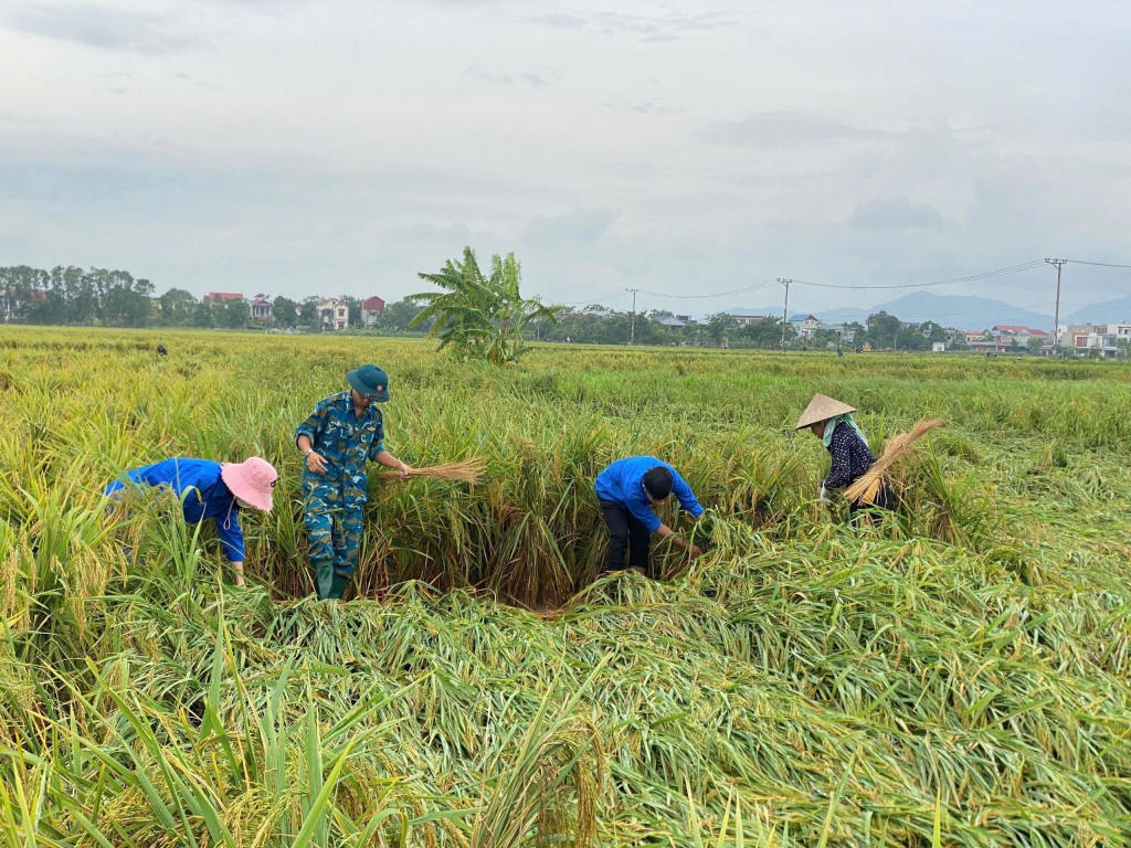 Thanh niên Sóc Sơn phối hợp với các lực lượng tích cực, khẩn trương hỗ trợ người dân tại các địa bàn ngập lụt di dời người, tài sản đến nơi an toàn, đắp đê tràn bờ, dựng lúa bị đổ…