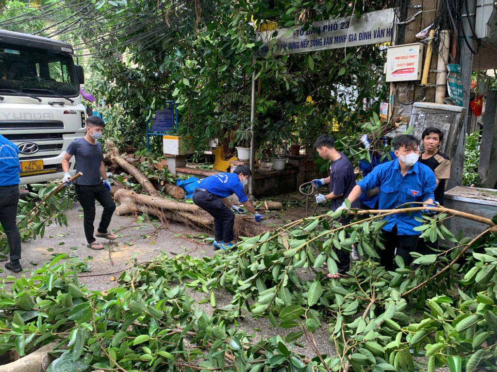 Thanh niên Thủ đô hỗ trợ dọn sạch cây, đổ gãy sau bão