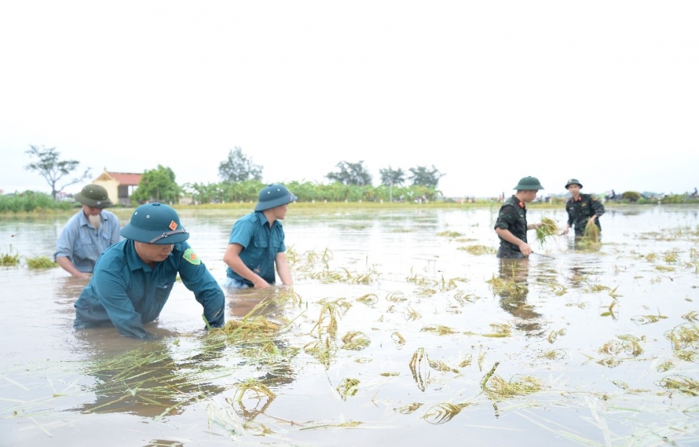 Tỏa sáng nghĩa đồng bào trong cơn bão lũ