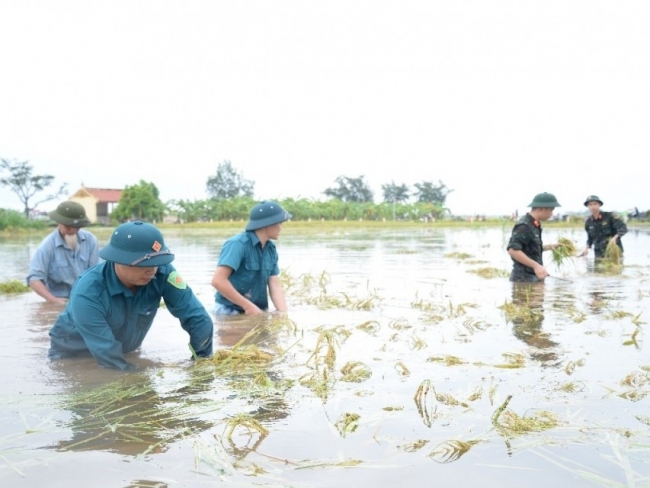 Tỏa sáng nghĩa đồng bào trong cơn bão lũ