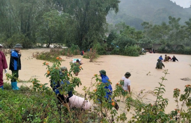 Tăng cường hộ đê ứng phó lũ lớn trên các sông khu vực phía bắc