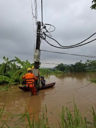 EVN nỗ lực ứng phó và vận hành an toàn lưới điện