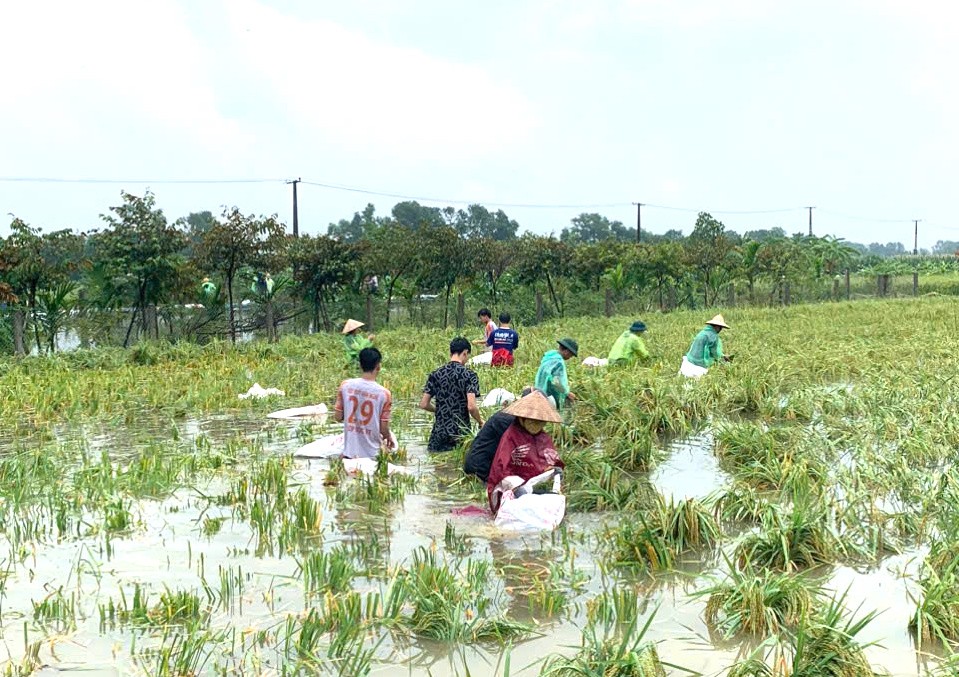 Góp phần giảm thiểu thấp nhất thiệt hại do mưa bão