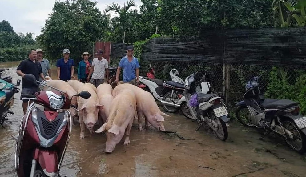 Công đoàn Thủ đô cùng Nhân dân hộ đê, di dời tài sản