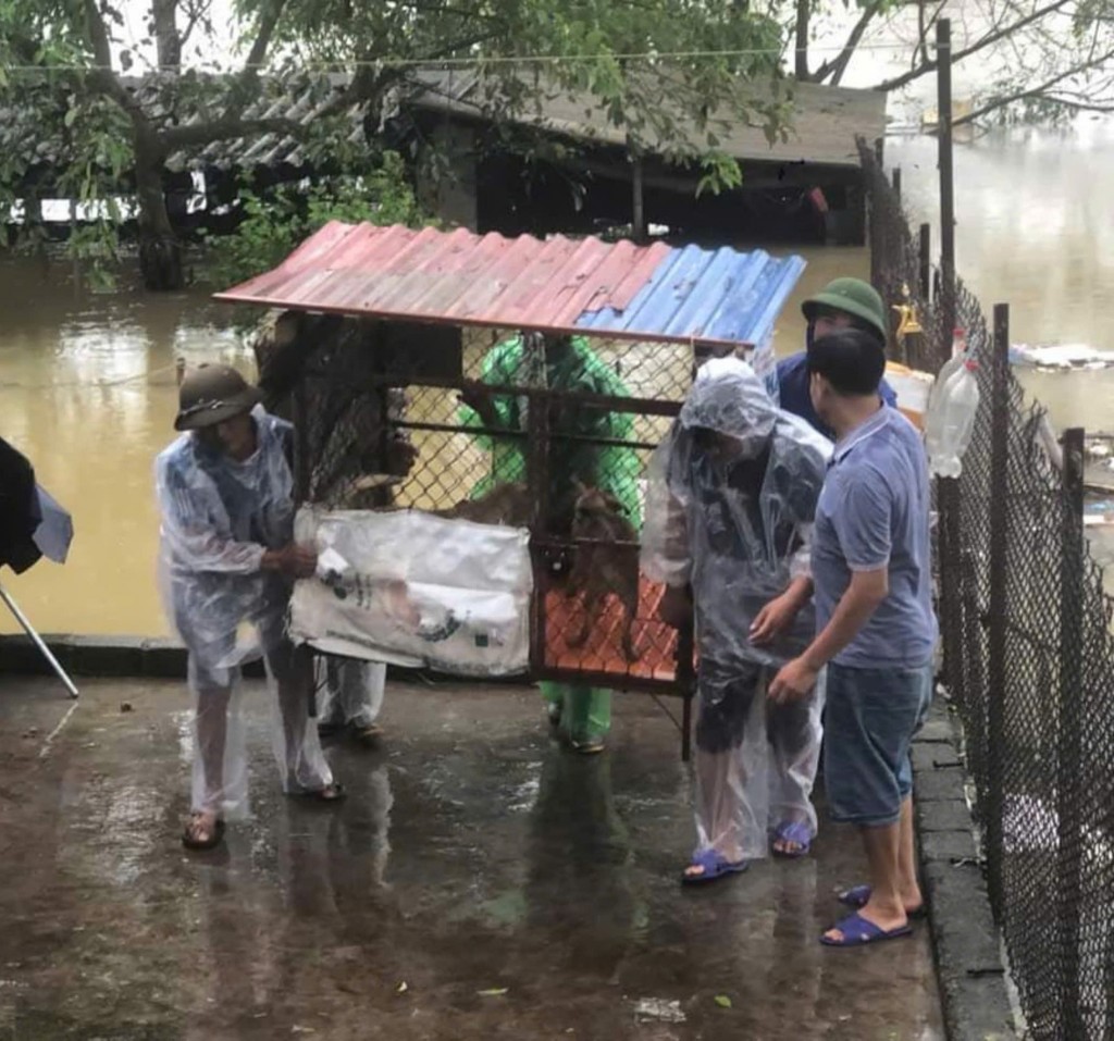 Công đoàn Thủ đô cùng Nhân dân hộ đê, di dời tài sản