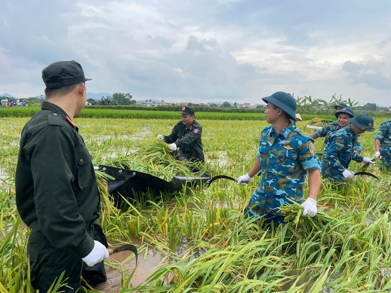 Mực nước các sông dâng cao, Hà Nội tăng cường bảo vệ đê điều