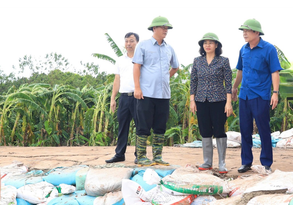 Phó Bí thư Thường trực Thành ủy Hà Nội Nguyễn Thị Tuyến kiểm tra khu vực đê xung yếu tại xã Trung Châu (huyện Đan Phượng)