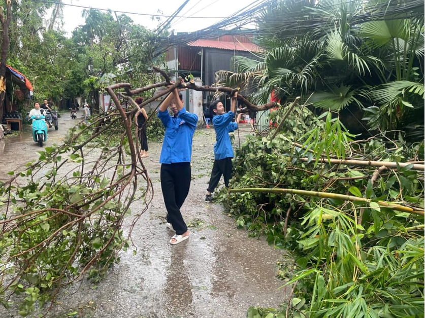 Thanh niên quận Tây Hồ dọn cây gãy, đổ