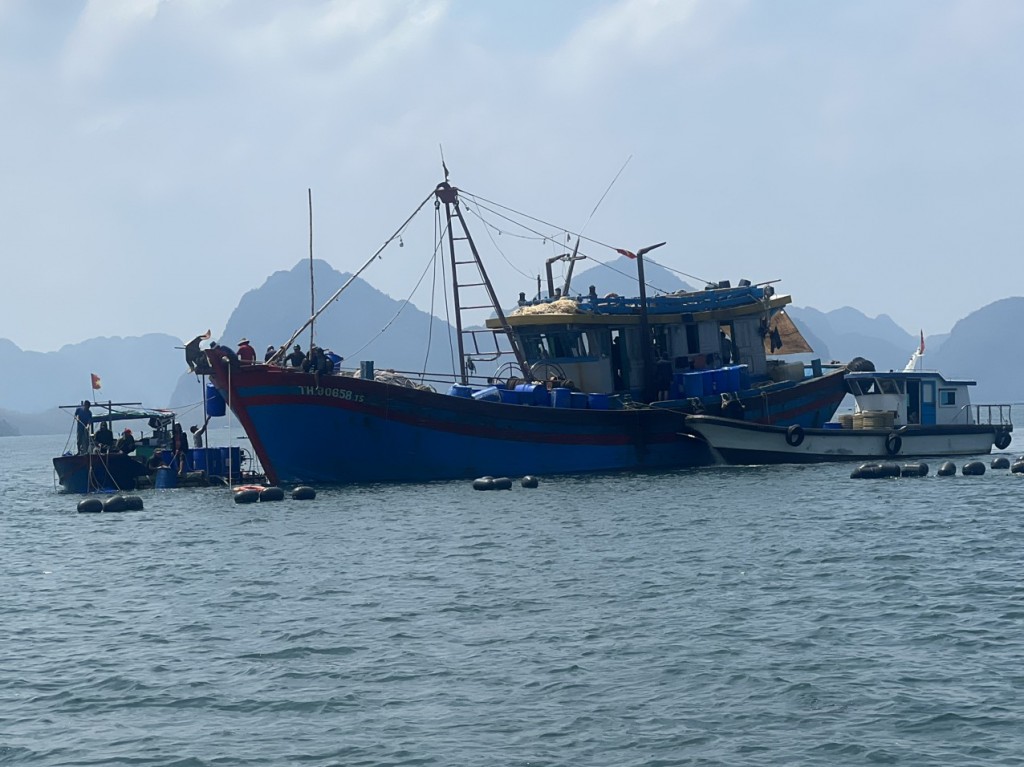 Đồn Biên phòng Hạ Long ứng cứu ngư dân gặp nạn