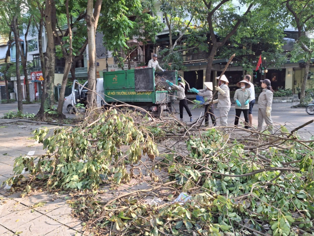 Lực lượng công nhân vệ sinh môi trường thu gom cây trên địa bàn phường Định Công