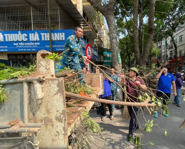 Trên địa bàn phường Định Công có rất nhiều cây gãy đổ do bão Yagi.