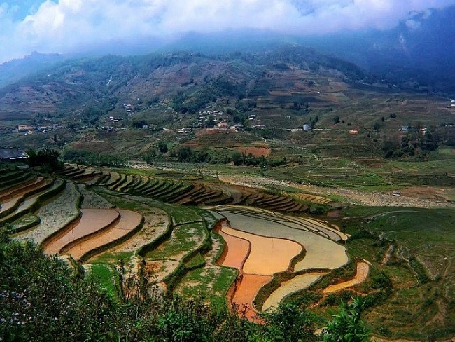 Tổng Công ty Thăng Long giả mạo tài liệu tham gia gói thầu hơn 300 tỷ đồng