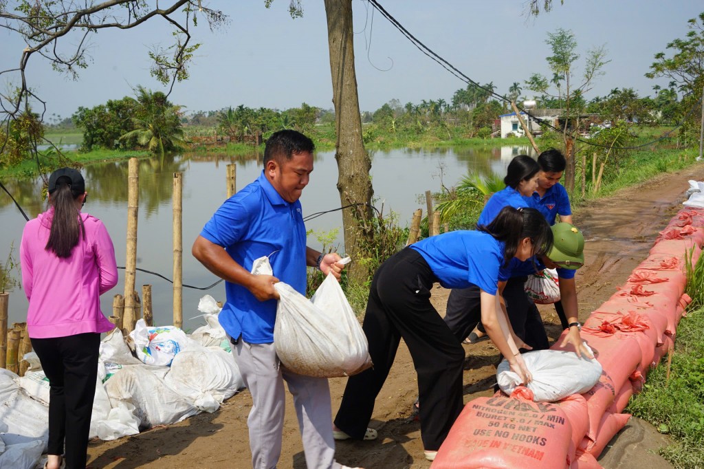 Tuổi trẻ Hải Phòng ngày đêm đắp đê ngăn lũ