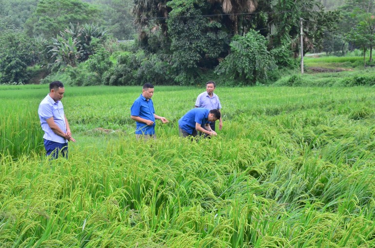 Cần nâng cao nhận thức cộng đồng và quản lý rủi ro thiên tai