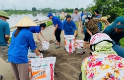 Chủ động ứng phó áp thấp nhiệt đới có khả năng mạnh lên thành bão