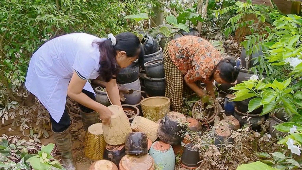 Hà Nội tập trung xử lý môi trường, phòng, chống dịch bệnh sau bão