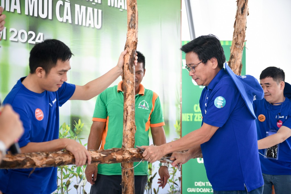 Ông Lê Hoàng Minh thực hiện mẫu thao tác buộc thép các cọc cừ tràm  để làm hàng rào khoanh nuôi.