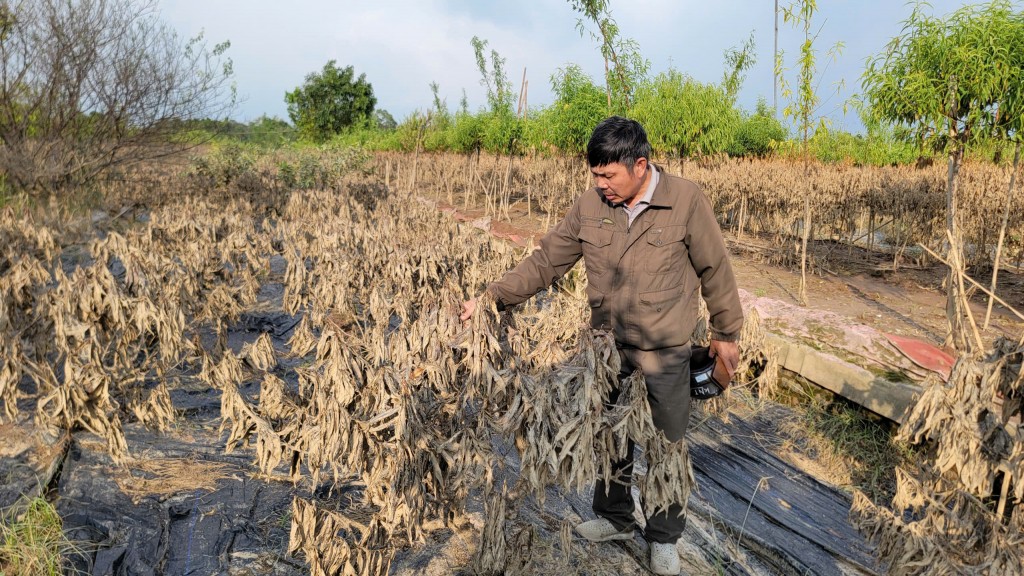 Bài 2: Quặn lòng nhìn tài sản bị cuốn trôi theo dòng nước lũ