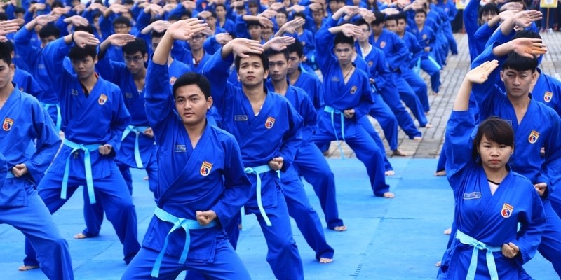 Võ Vovinam là môn võ truyền thống của người Việt