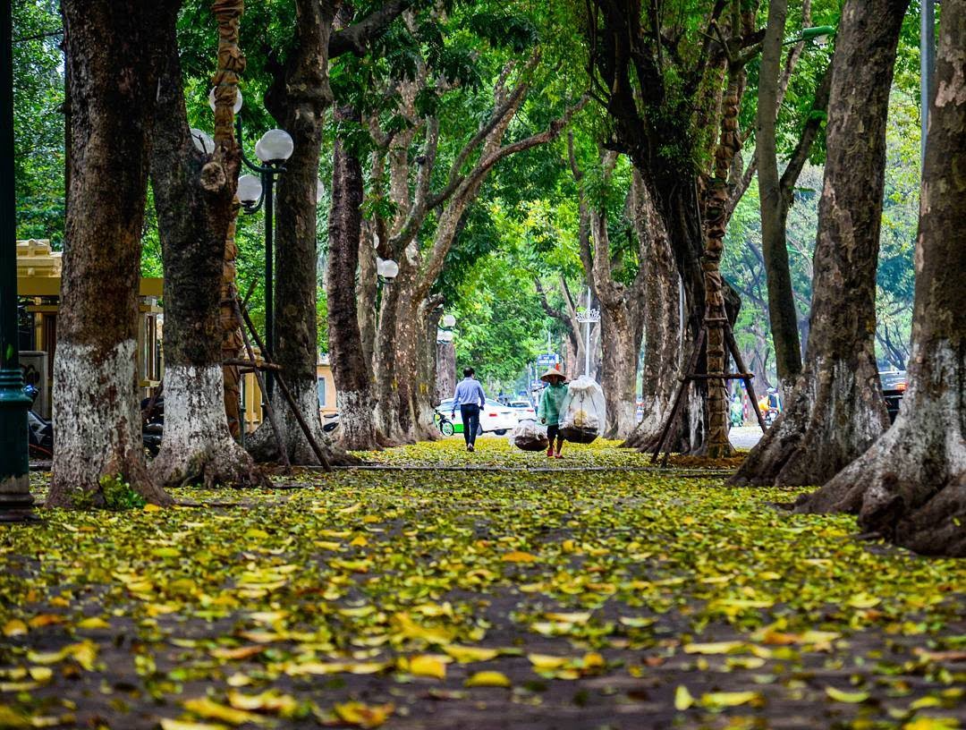 Dịu dàng Thu trên phố