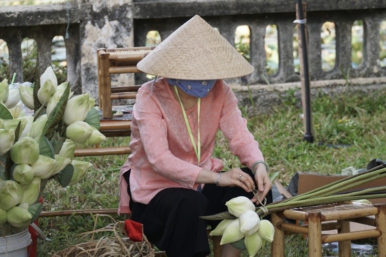 sen hồ Tịnh Tâm - hồ sen cung cấp cho cung đình Huế xưa (Ảnh Đ.Minh) sen hồ Tịnh Tâm - hồ sen cung cấp cho cung đình Huế xưa (Ảnh Đ.Minh)