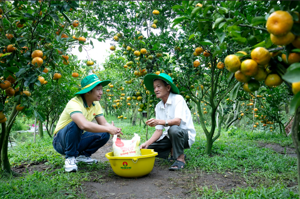 Phân bón Cà Mau: Kỹ thuật trao tay, vượt khó khăn ngay