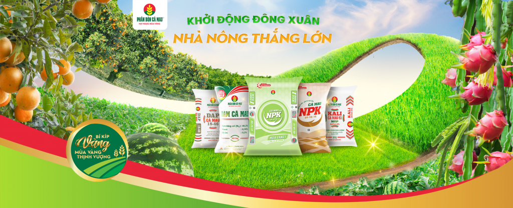 Phân bón Cà Mau: Kỹ thuật trao tay, vượt khó khăn ngay