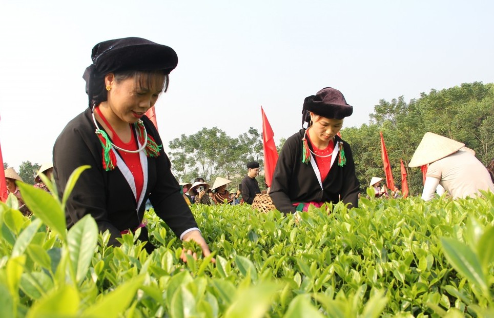 Tạo cú hích trong phát triển kinh tế - xã hội vùng đồng bào dân tộc thiểu số và miền núi