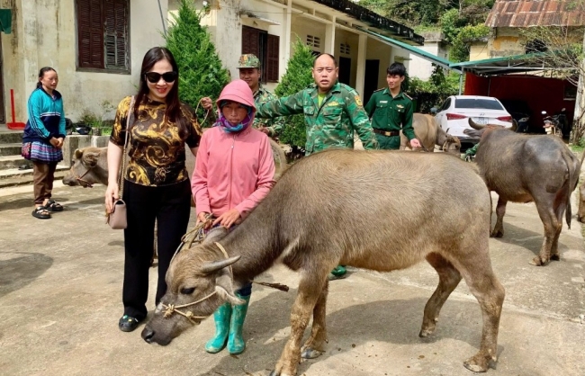 Trao tặng 35 con trâu giống cho các hộ dân biên giới